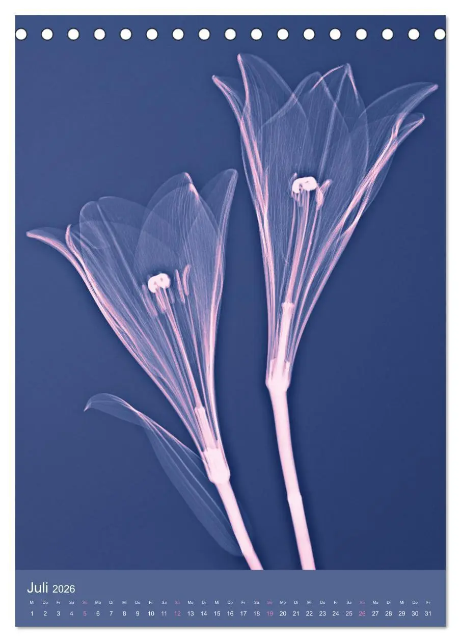 Bild: 9783516342260 | Durchleuchtete Blumenwelt 2026 (Tischkalender 2026 DIN A5 hoch),...