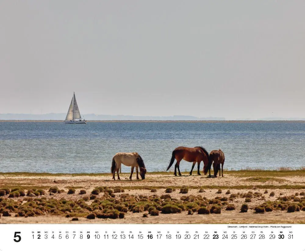 Bild: 9783667132260 | Mare Balticum 2027 | Ostsee-Impressionen | Nico Krauss | Kalender