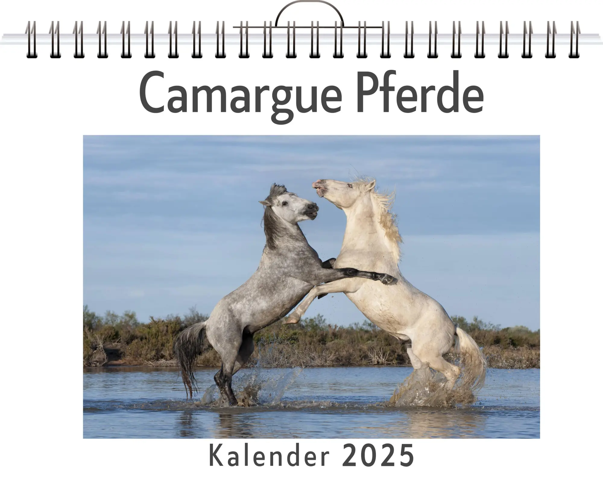 Cover: 9783759132260 | Camargue Pferde | Lina Koch | Kalender | Kalender | 14 S. | Deutsch