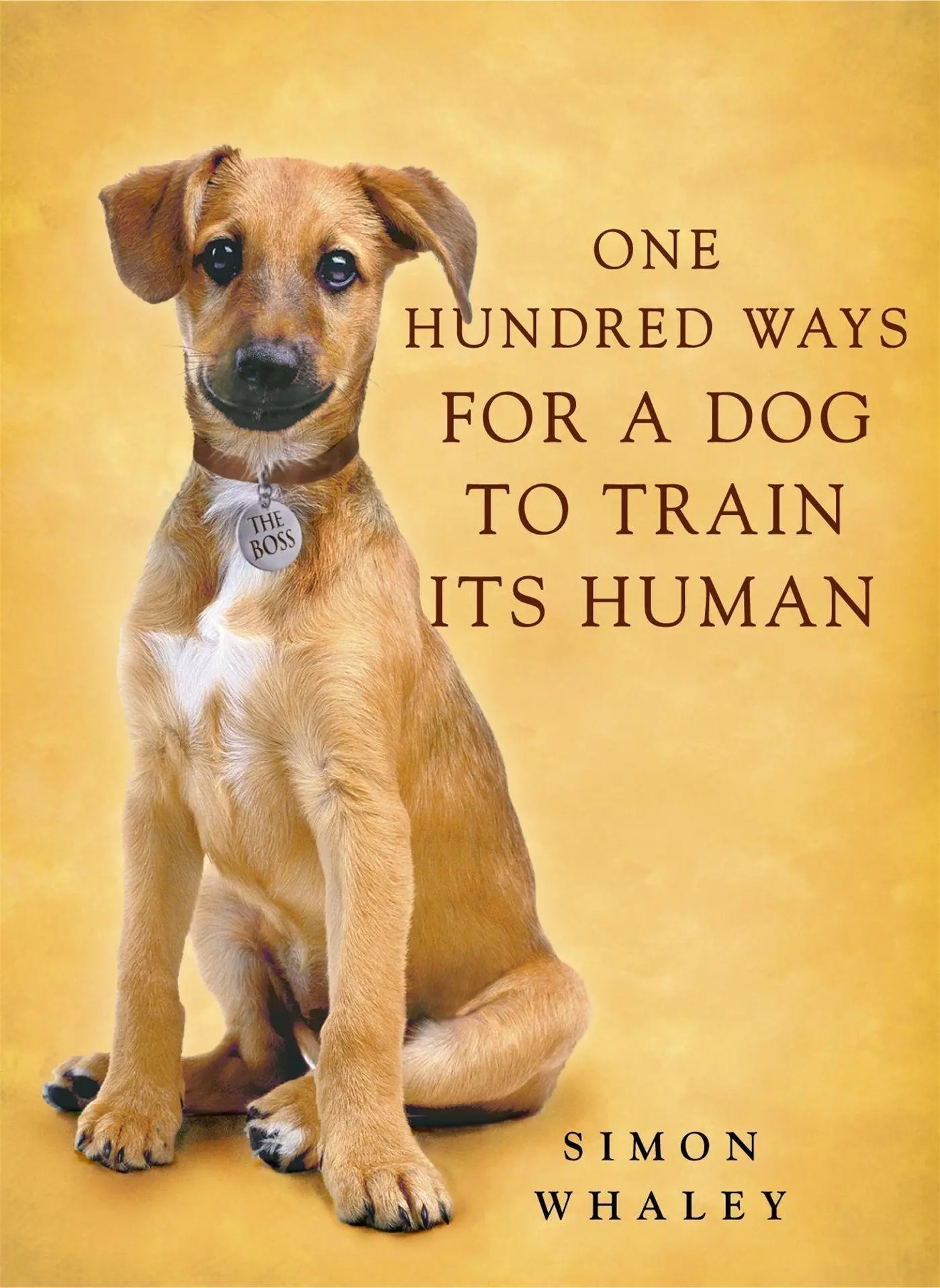 Cover: 9780340862360 | One Hundred Ways for a Dog to Train Its Human | Simon Whaley | Buch