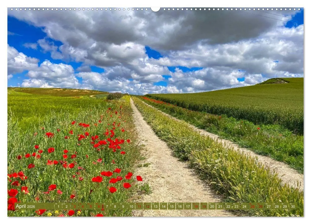Bild: 9783516712360 | Augenblicke der Ruhe (Wandkalender 2026 DIN A2 quer), CALVENDO...