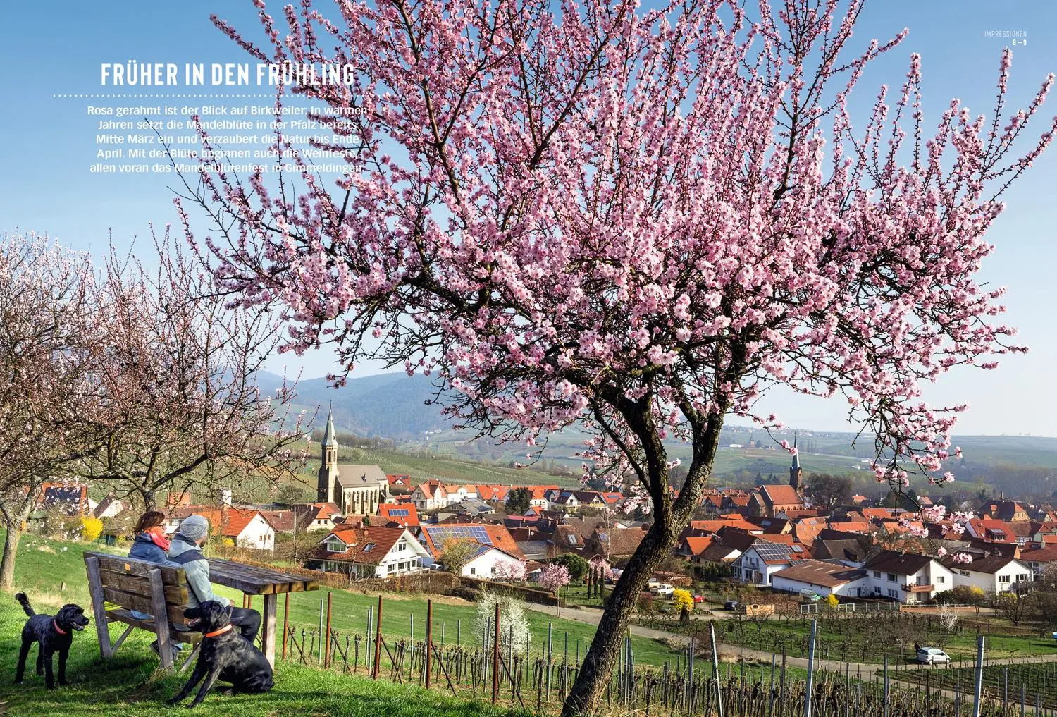 Bild: 9783616012360 | DUMONT Bildatlas Pfalz | Das praktische Reisemagazin zur Einstimmung.