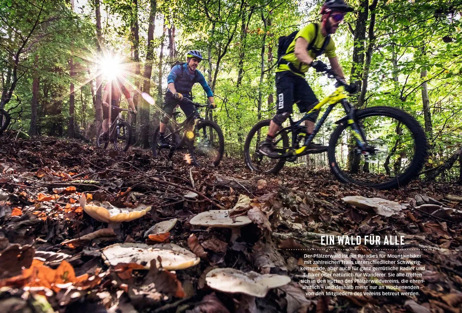 Bild: 9783616012360 | DUMONT Bildatlas Pfalz | Das praktische Reisemagazin zur Einstimmung.