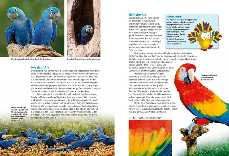 Bild: 9783866592360 | Entdecke die Papageien | Thomas Schmidt | Buch | 56 S. | Deutsch