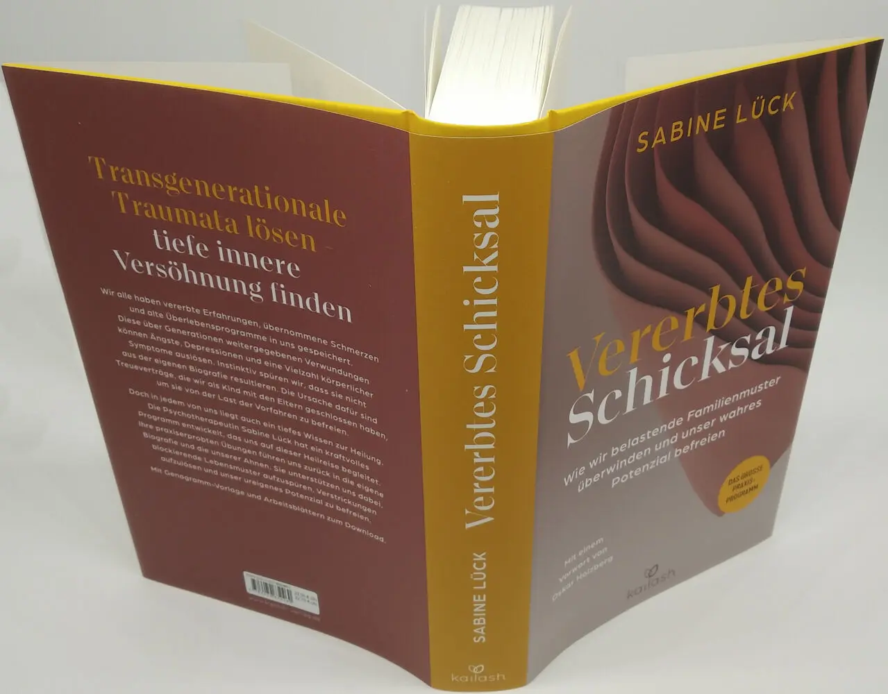 Bild: 9783424632460 | Vererbtes Schicksal | Sabine Lück | Buch | 368 S. | Deutsch | 2023