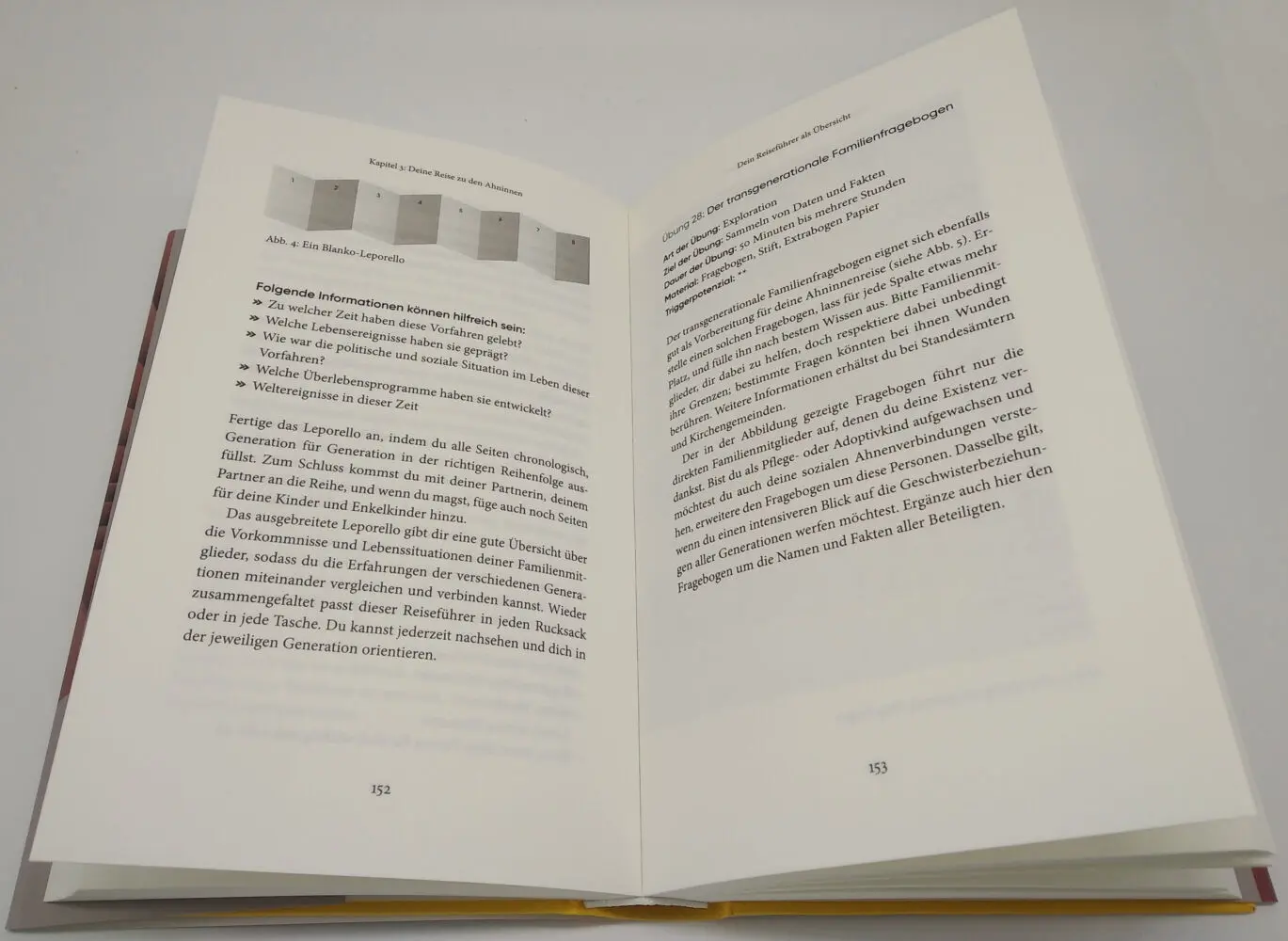 Bild: 9783424632460 | Vererbtes Schicksal | Sabine Lück | Buch | 368 S. | Deutsch | 2023