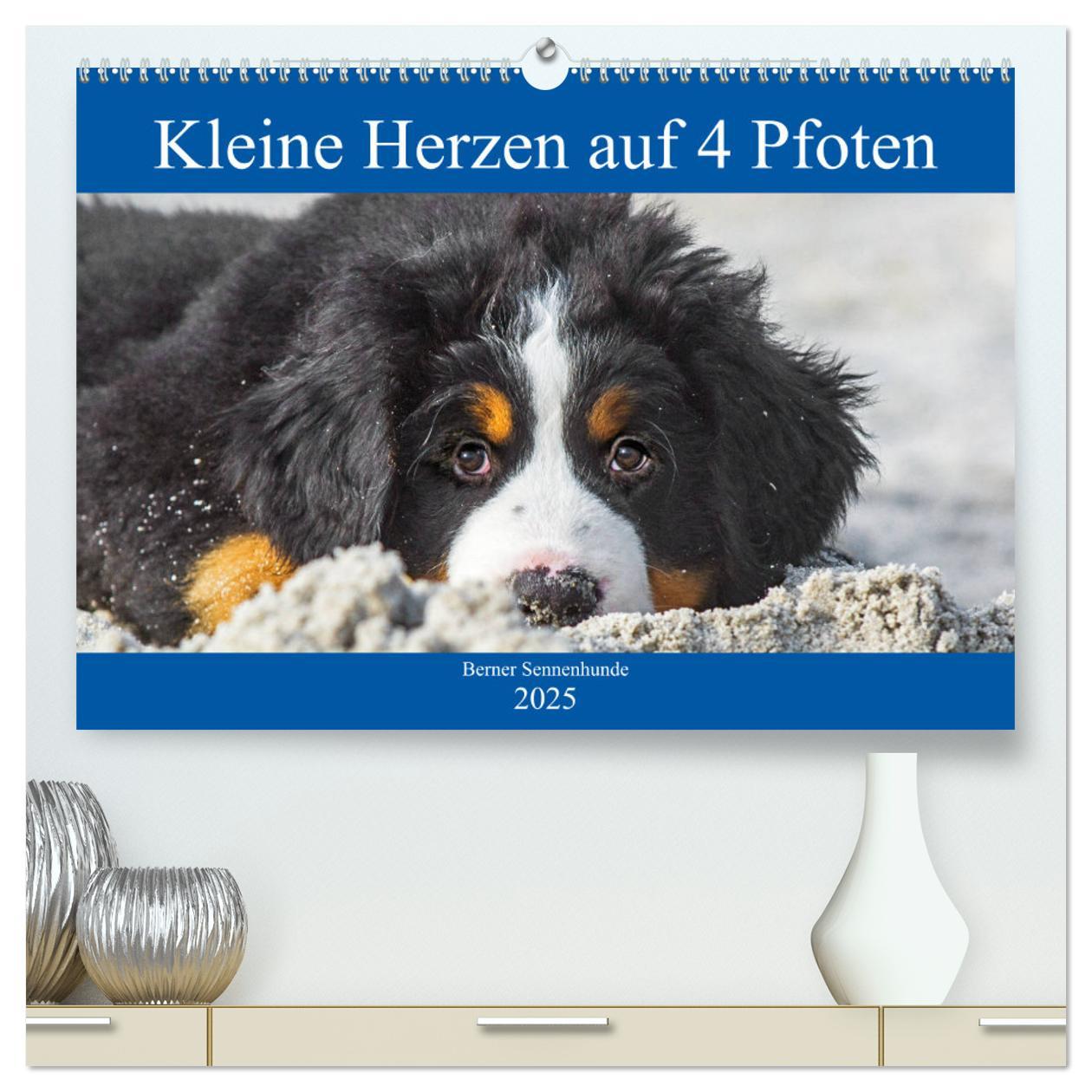 Cover: 9783435212460 | Kleine Herzen auf 4 Pfoten - Berner Sennenhunde (hochwertiger...