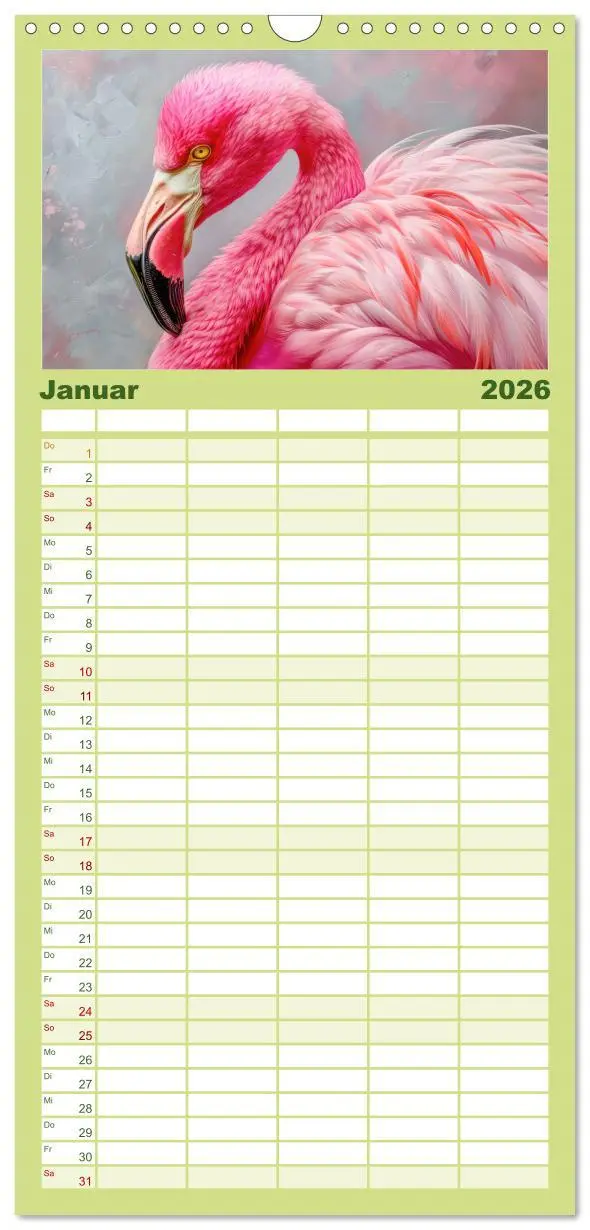 Bild: 9783516492460 | Familienplaner 2026 - Ein Herz für Flamingos mit 5 Spalten...