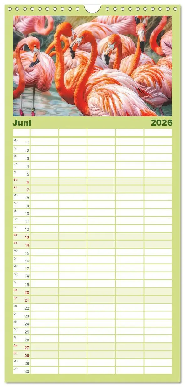 Bild: 9783516492460 | Familienplaner 2026 - Ein Herz für Flamingos mit 5 Spalten...