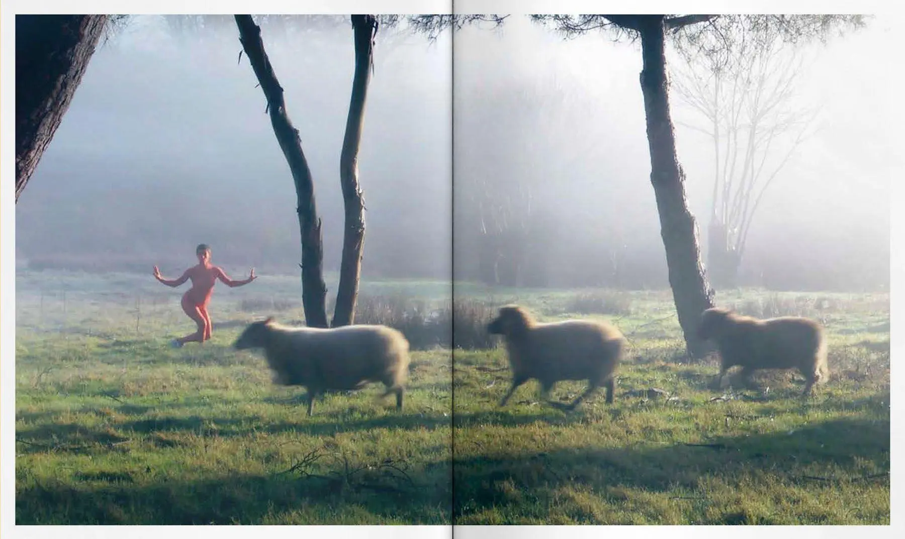Bild: 9783991532460 | Animalia | Von Tieren und Menschen / Of Animals and Humans | Buch