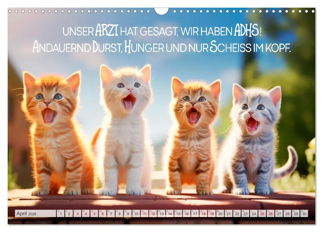 Bild: 9783457462560 | Süße Katzen und coole Sprüche (Wandkalender 2026 DIN A3 quer),...