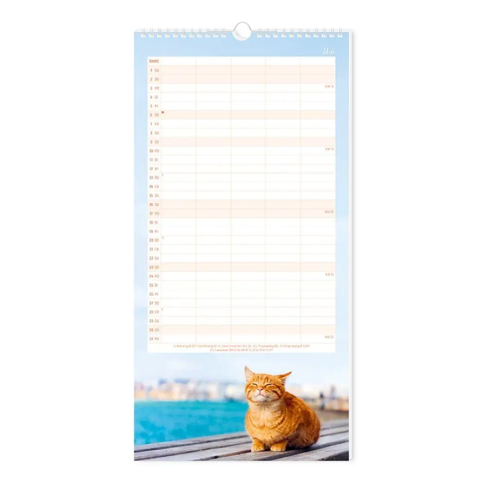 Bild: 9783986362560 | Familienplaner 2027 Samtpfoten | Familienplaner | Original | Kalender