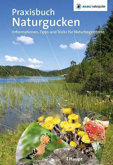 Cover: 9783258082660 | Praxisbuch Naturgucken | Stefan Munzinger (u. a.) | Buch | 192 S.