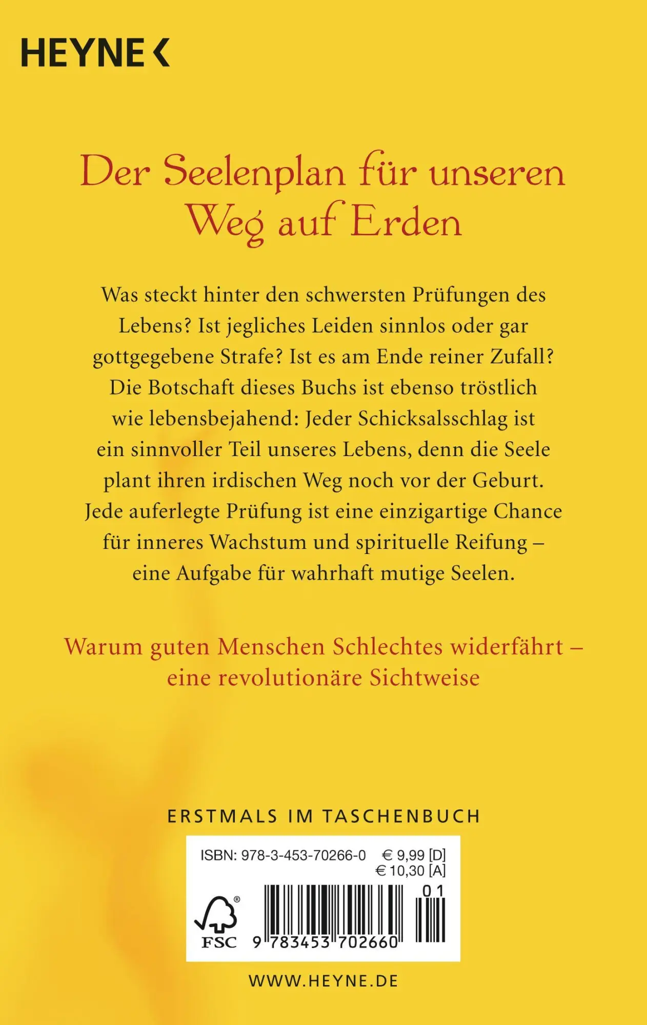 Rückseite: 9783453702660 | Mutige Seelen | Robert Schwartz | Taschenbuch | 352 S. | Deutsch