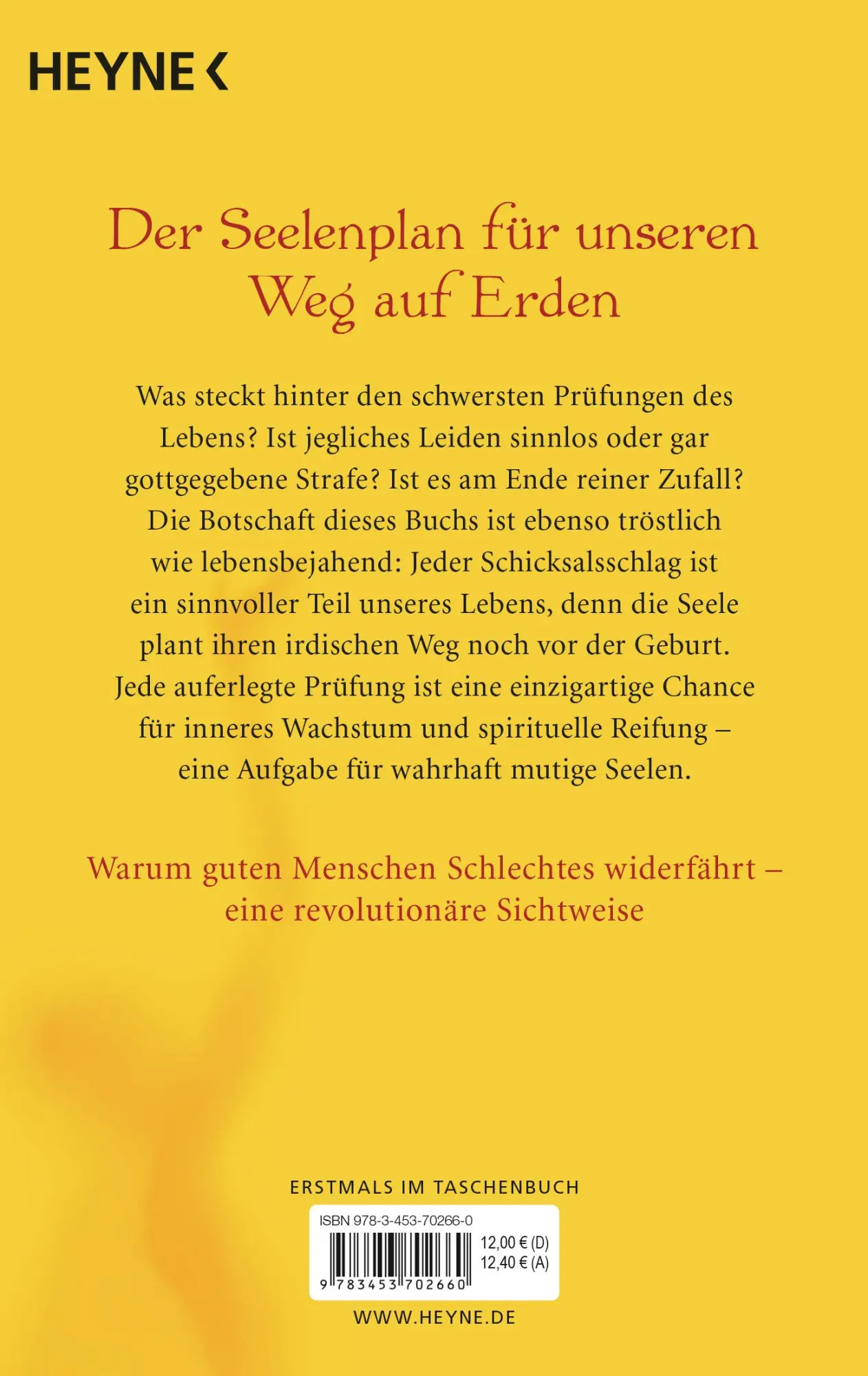 Bild: 9783453702660 | Mutige Seelen | Robert Schwartz | Taschenbuch | 352 S. | Deutsch