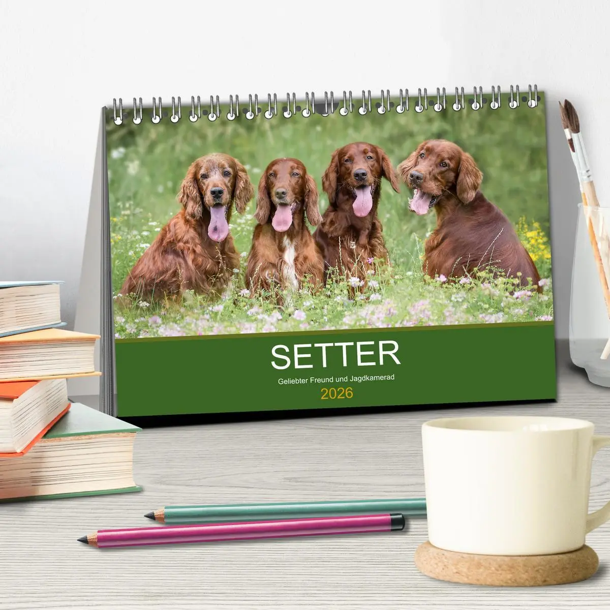 Bild: 9783457762660 | Setter - Geliebter Freund und Jagdkamerad (Tischkalender 2026 DIN...