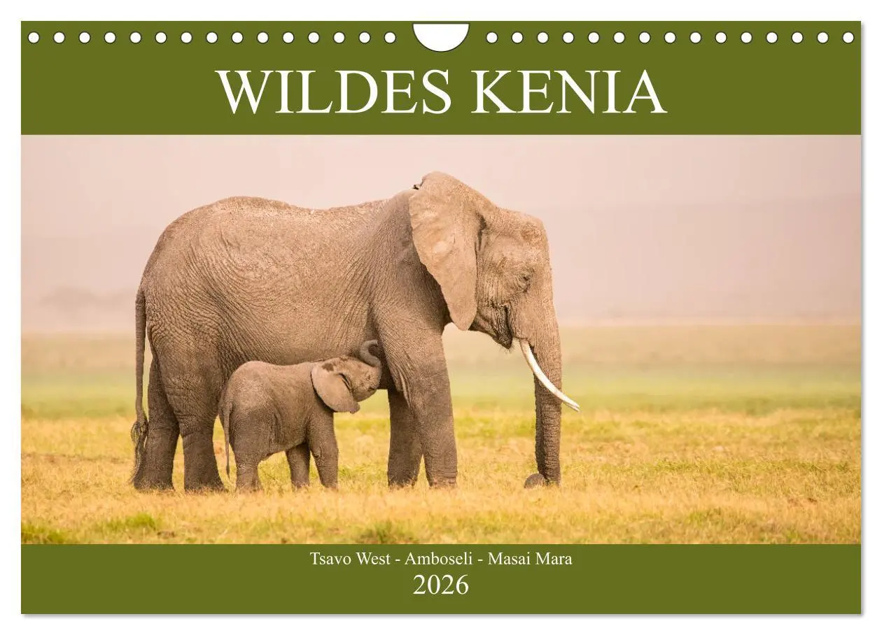 Cover: 9783457832660 | Wildes Kenia (Wandkalender 2026 DIN A4 quer), CALVENDO Monatskalender