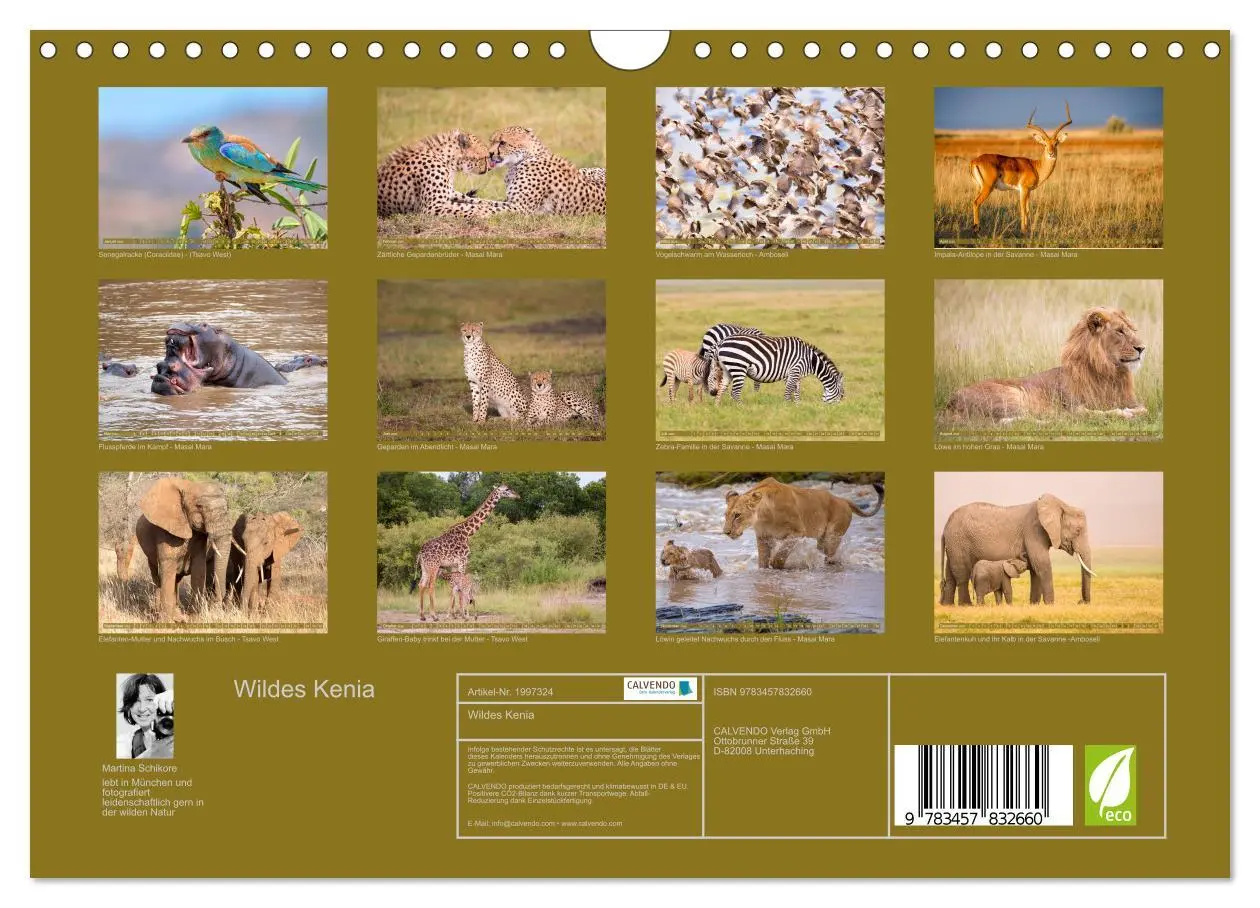 Bild: 9783457832660 | Wildes Kenia (Wandkalender 2026 DIN A4 quer), CALVENDO Monatskalender