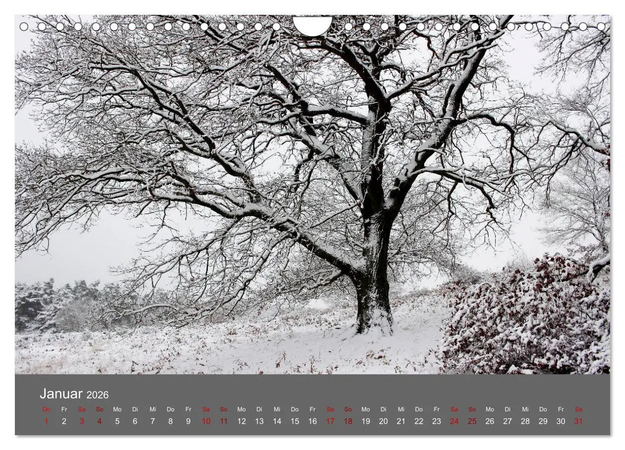 Bild: 9783457902660 | Wahner Heide - Aussichten und Begegnungen (Wandkalender 2026 DIN A4...
