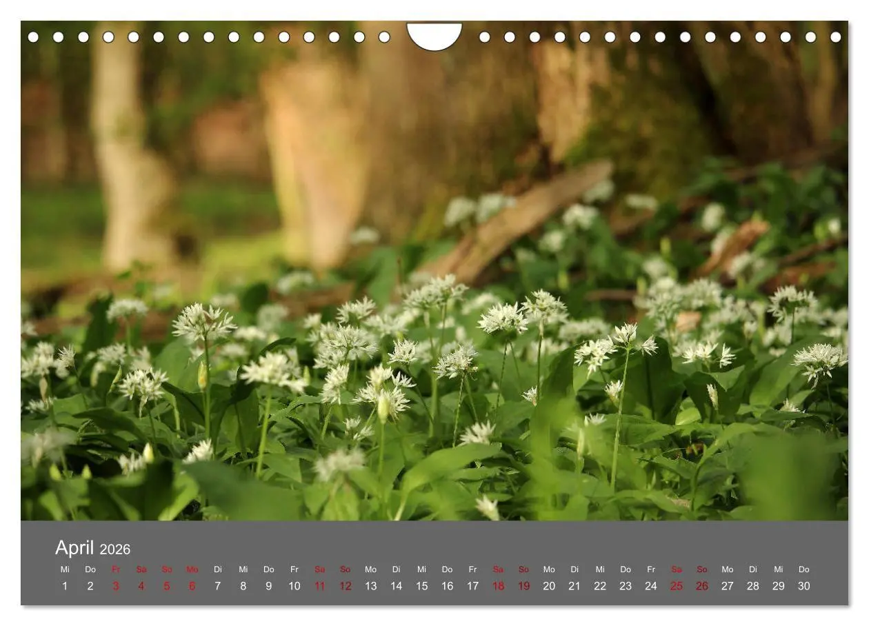 Bild: 9783457902660 | Wahner Heide - Aussichten und Begegnungen (Wandkalender 2026 DIN A4...