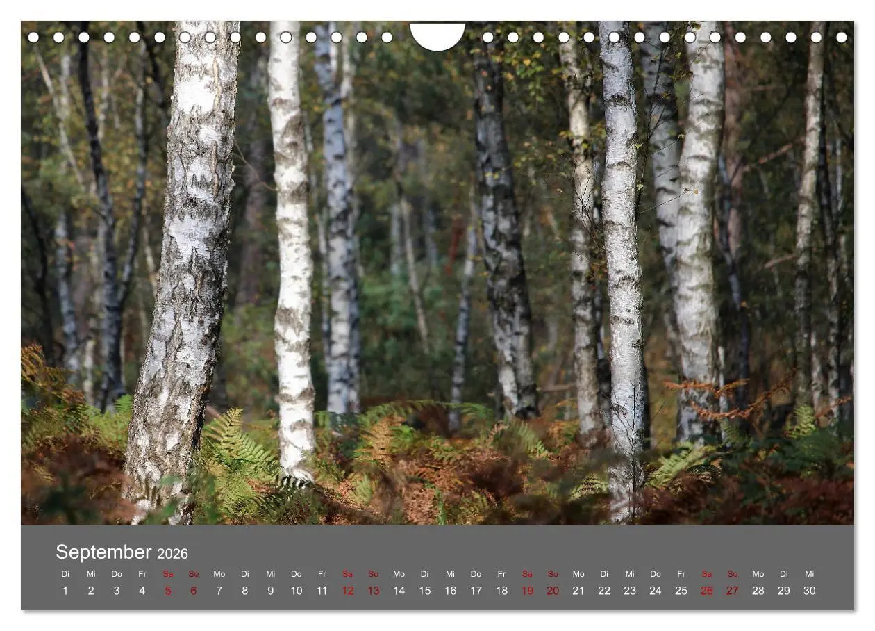 Bild: 9783457902660 | Wahner Heide - Aussichten und Begegnungen (Wandkalender 2026 DIN A4...