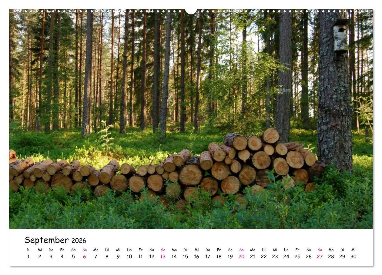 Bild: 9783516152760 | Südschweden Smaland 2026 (Wandkalender 2026 DIN A2 quer), CALVENDO...