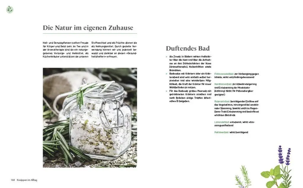 Bild: 9783710402760 | Das große Kneipp-Buch | Hans Gasperl | Buch | 256 S. | Deutsch | 2021