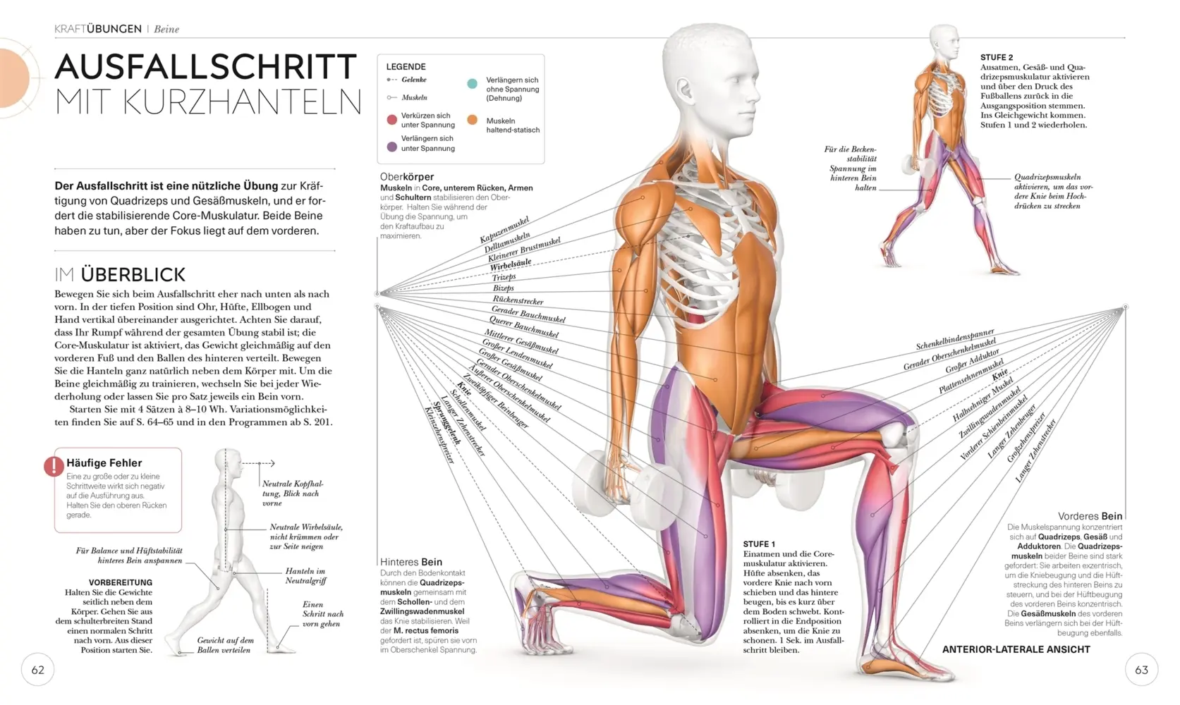Bild: 9783831042760 | Krafttraining - Die Anatomie verstehen | Austin Current | Taschenbuch