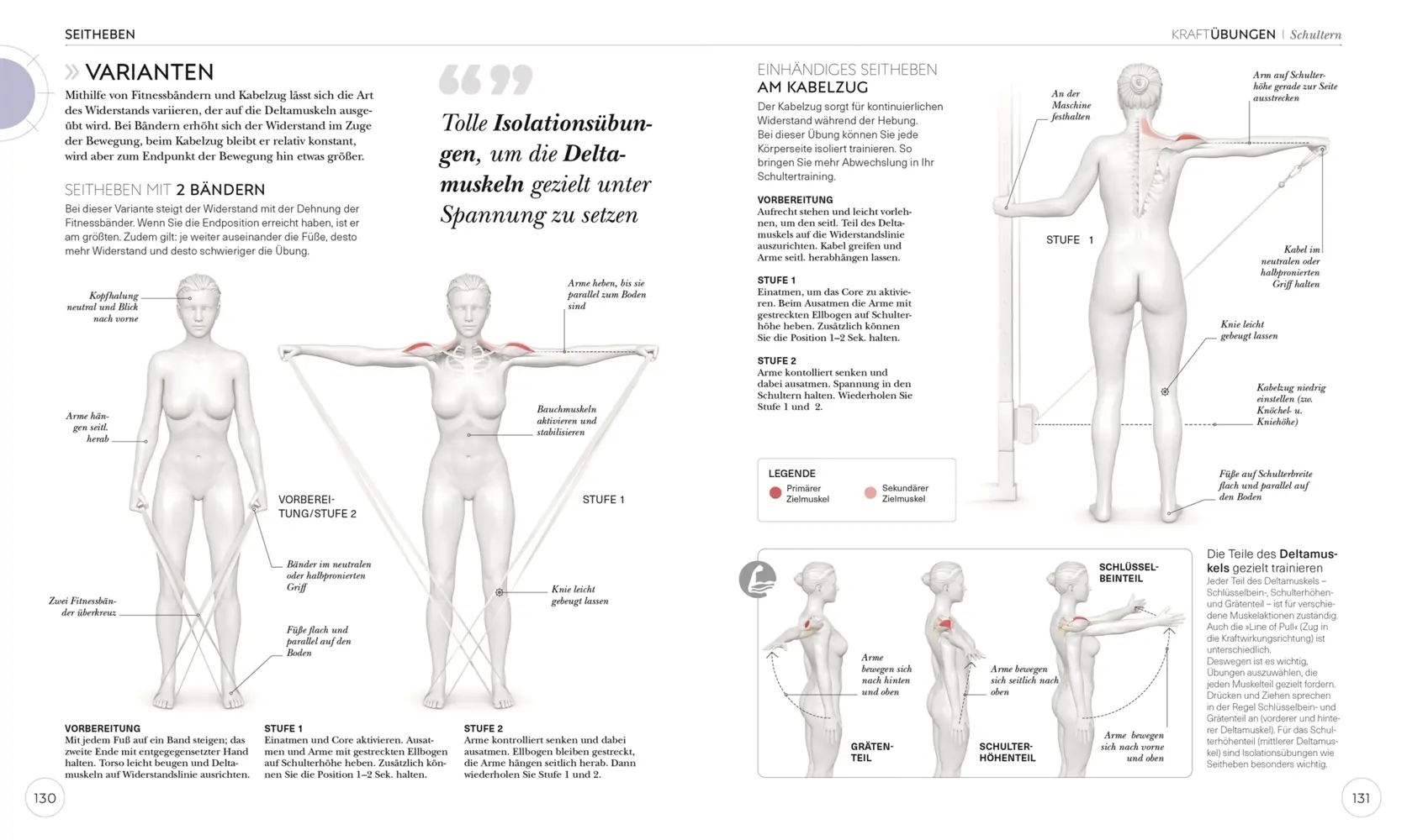 Bild: 9783831042760 | Krafttraining - Die Anatomie verstehen | Austin Current | Taschenbuch