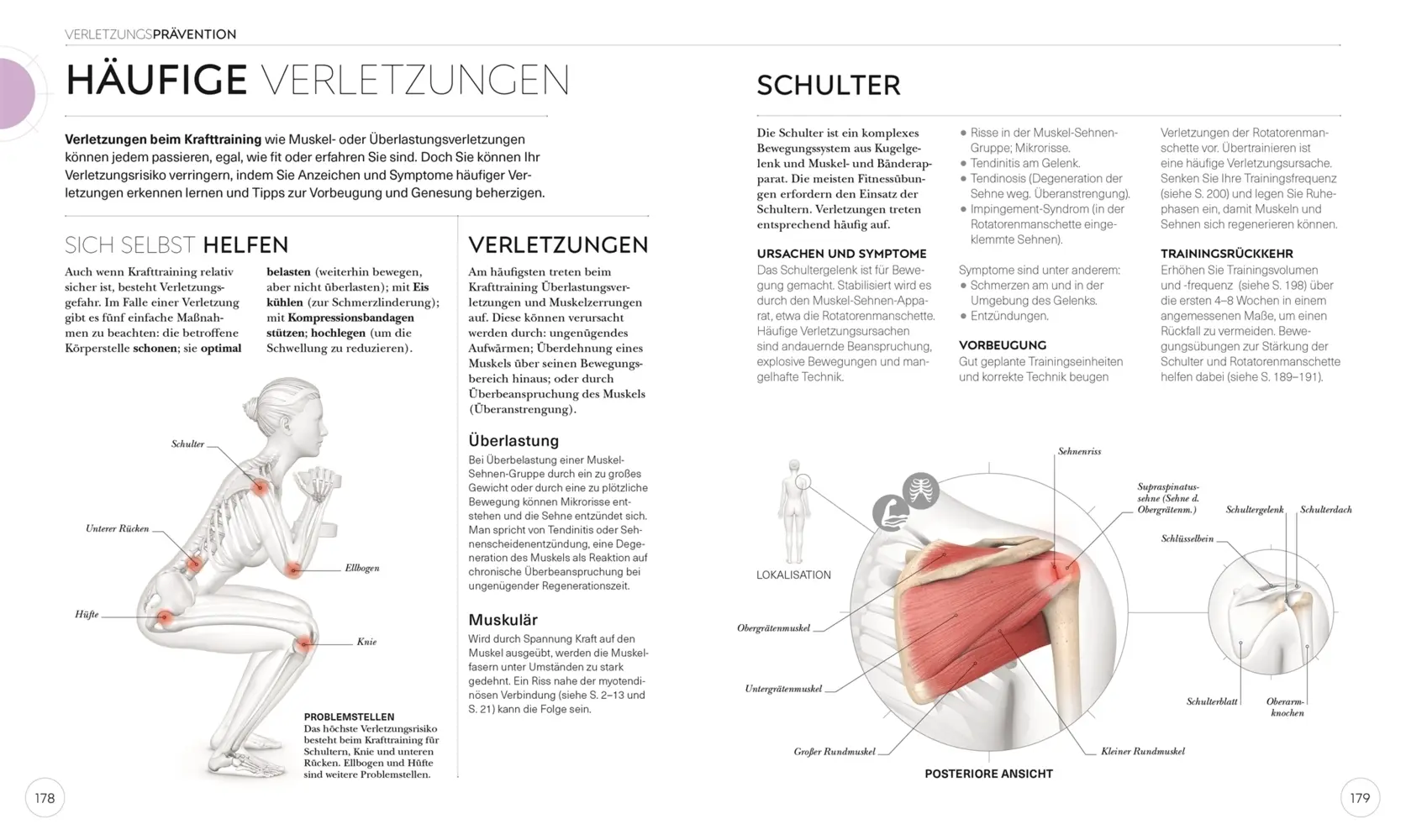 Bild: 9783831042760 | Krafttraining - Die Anatomie verstehen | Austin Current | Taschenbuch