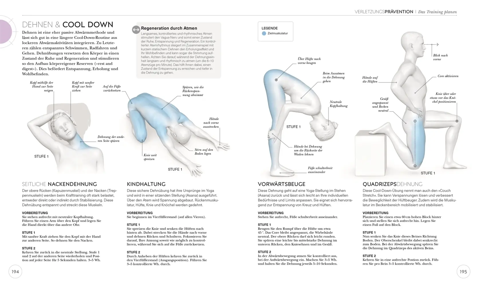 Bild: 9783831042760 | Krafttraining - Die Anatomie verstehen | Austin Current | Taschenbuch