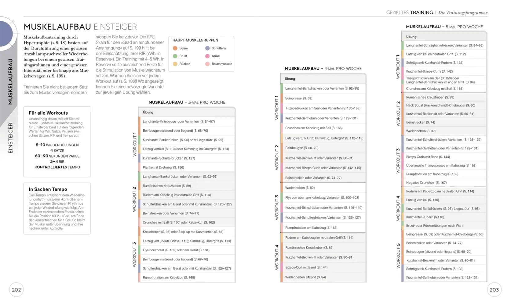 Bild: 9783831042760 | Krafttraining - Die Anatomie verstehen | Austin Current | Taschenbuch