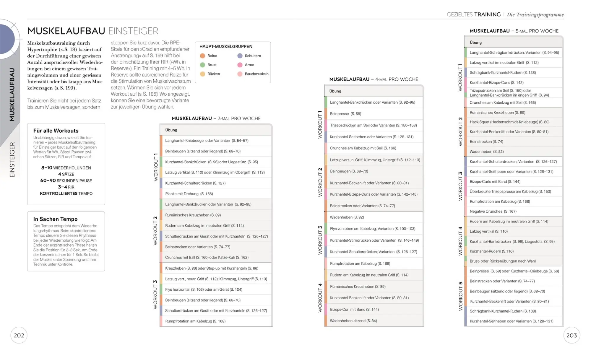 Bild: 9783831042760 | Krafttraining - Die Anatomie verstehen | Austin Current | Taschenbuch