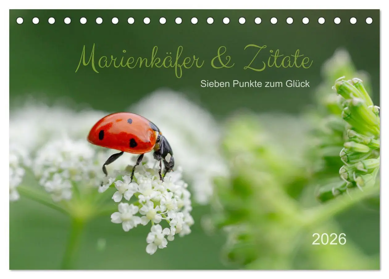 Cover: 9783457502860 | Marienkäfer &amp; Zitate - Sieben Punkte zum Glück (Tischkalender 2026...