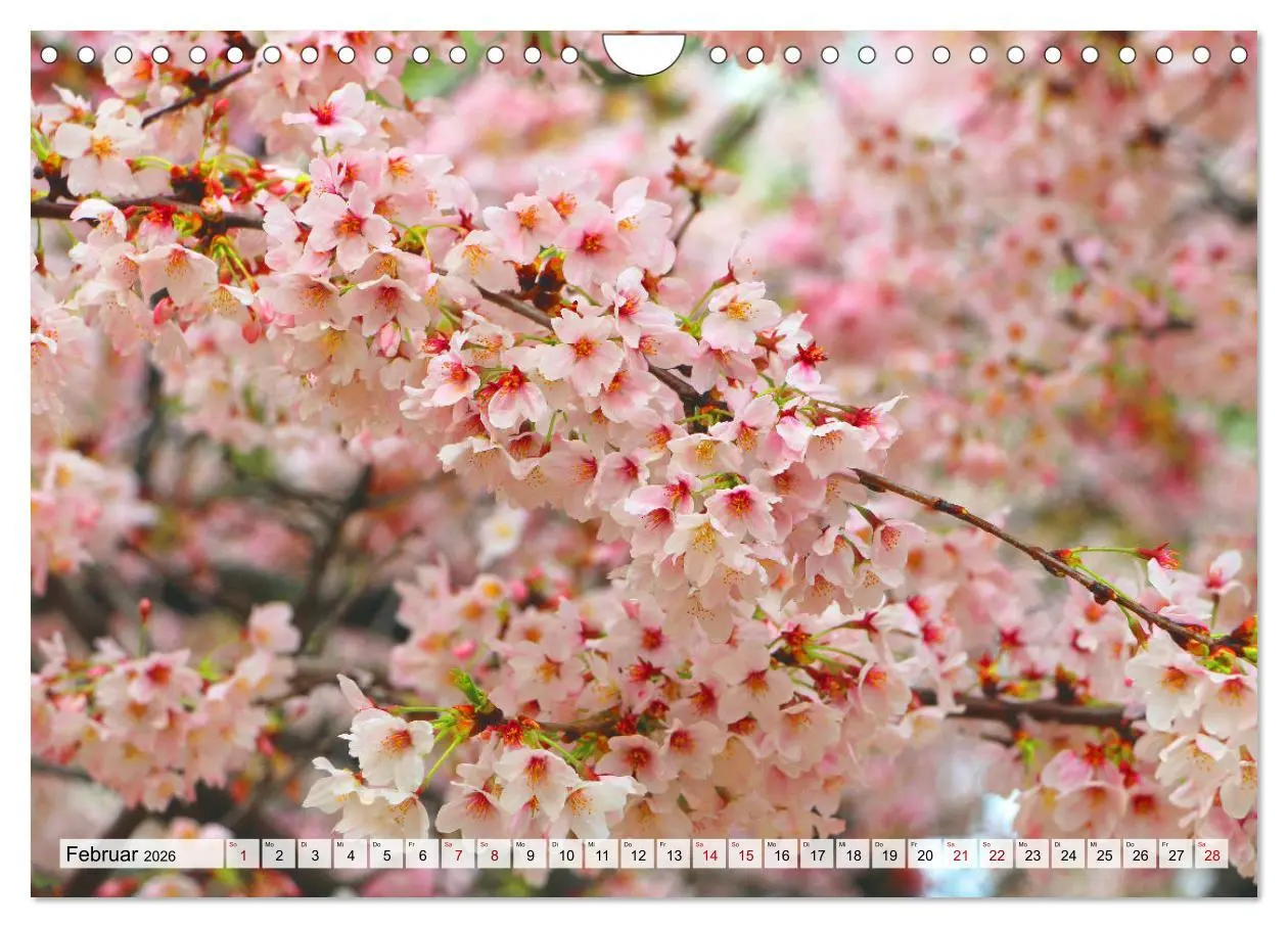 Bild: 9783457672860 | Japan das Land der aufgehenden Sonne (Wandkalender 2026 DIN A4...