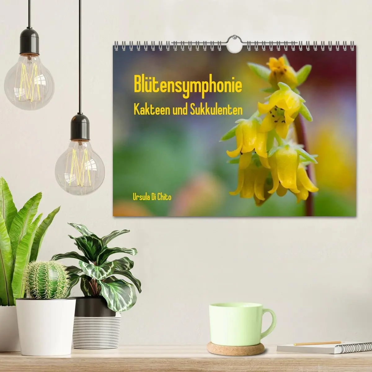 Bild: 9783516072860 | Blütensymphonie - Kakteen und Sukkulenten (Wandkalender 2026 DIN A4...