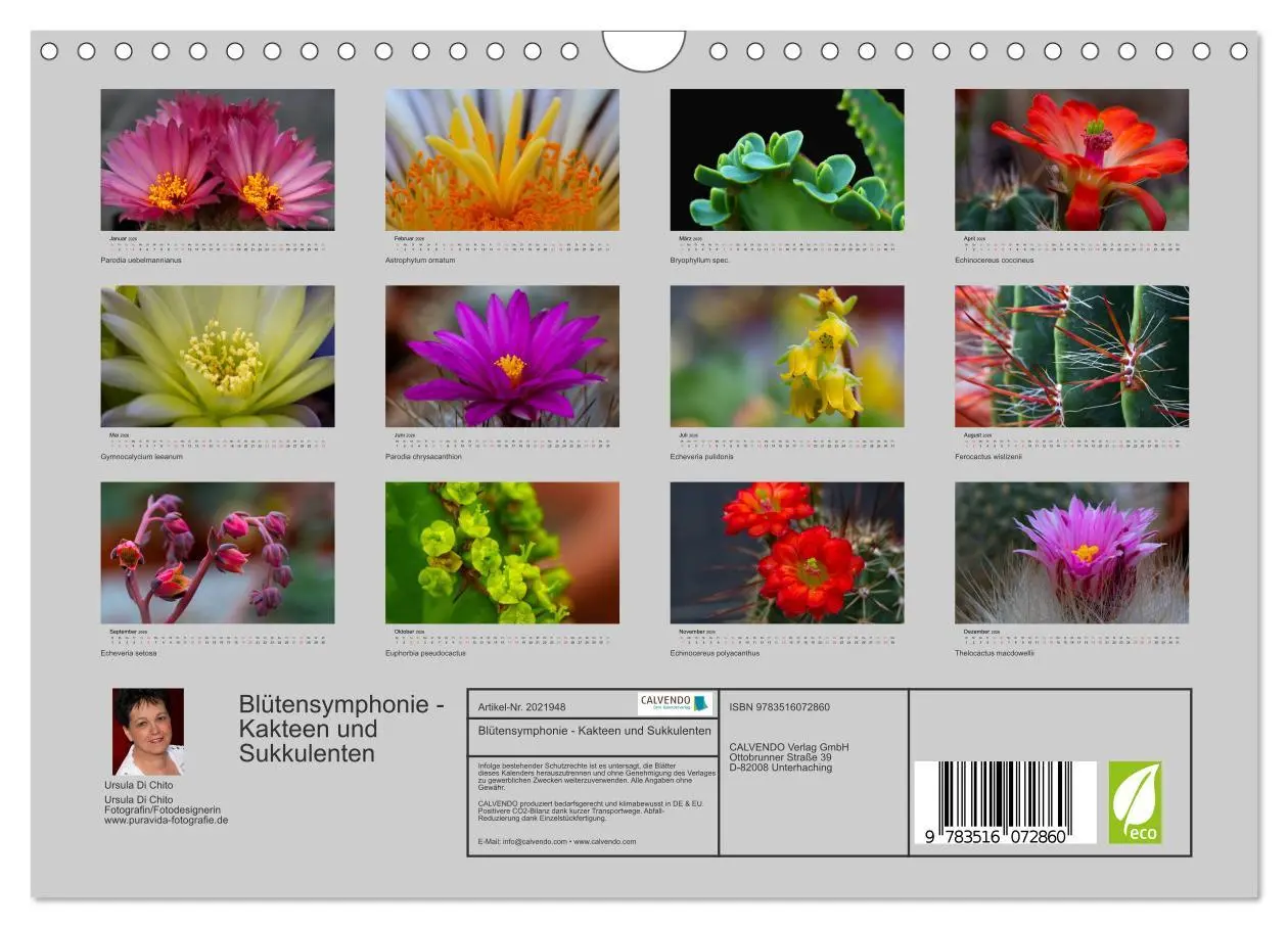 Bild: 9783516072860 | Blütensymphonie - Kakteen und Sukkulenten (Wandkalender 2026 DIN A4...