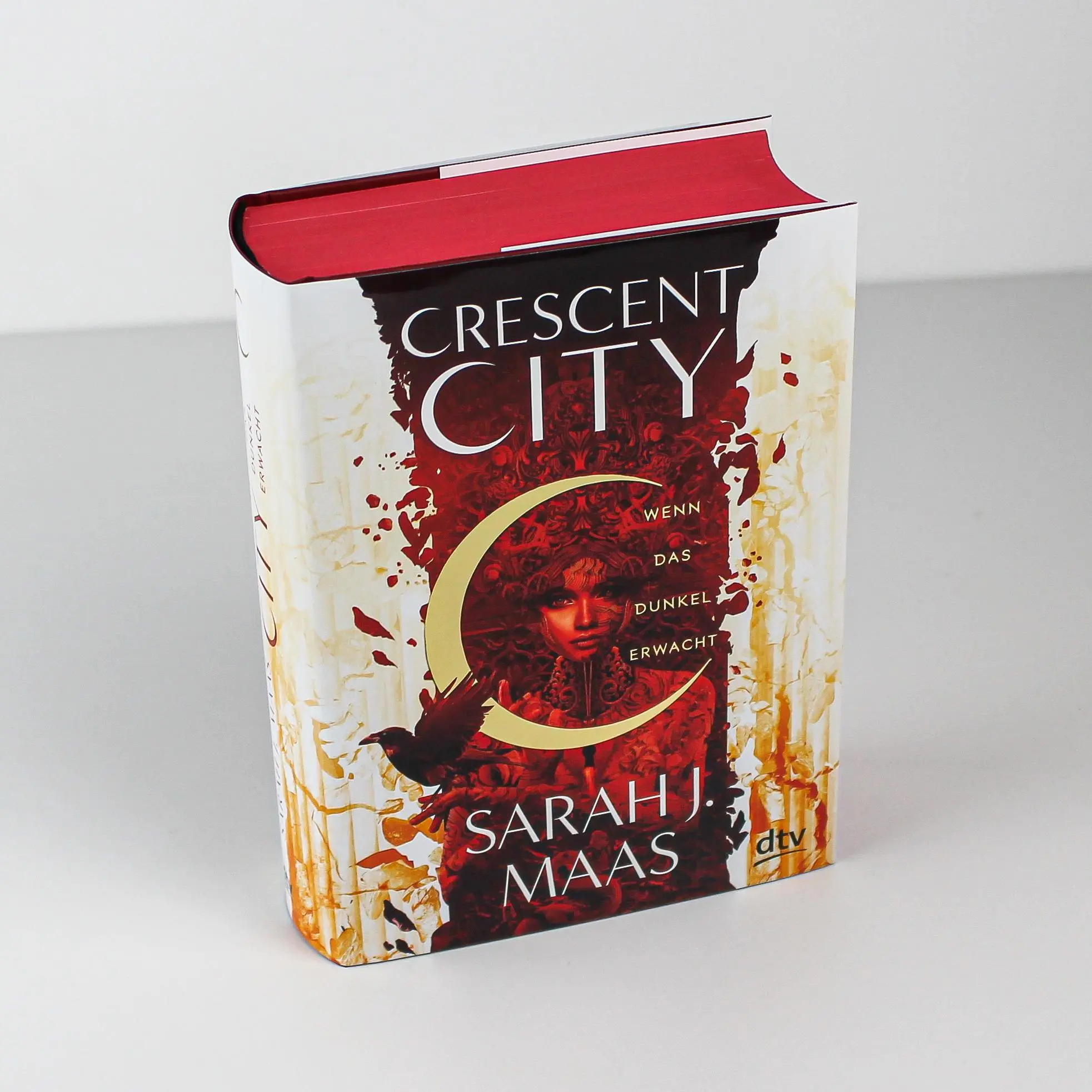 Bild: 9783423762960 | Crescent City 01 - Wenn das Dunkel erwacht | Sarah J. Maas | Buch