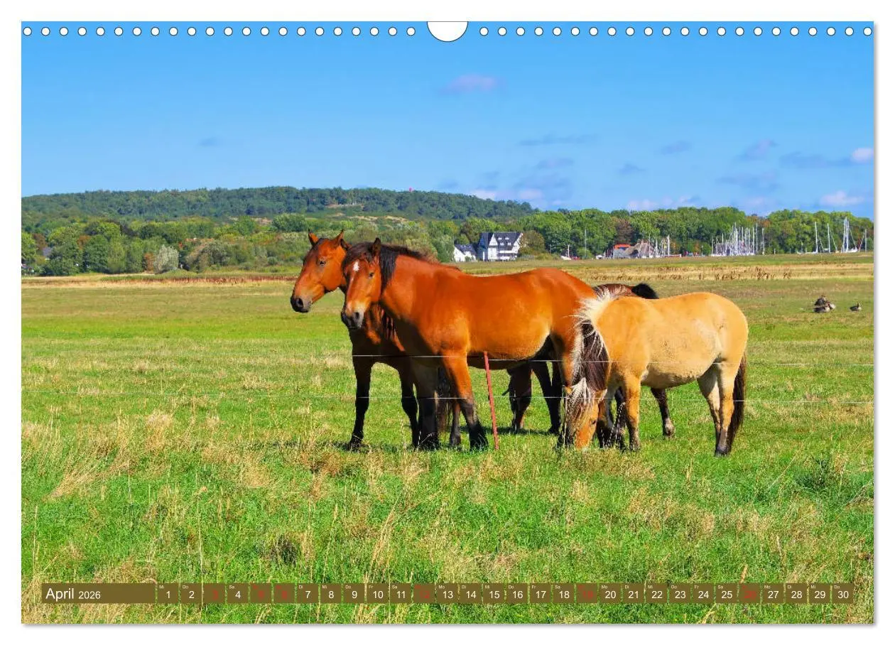 Bild: 9783457802960 | Insel Hiddensee - Dat söte Länneken (Wandkalender 2026 DIN A3...