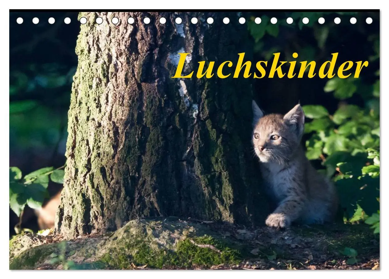 Cover: 9783457972960 | Luchskinder (Tischkalender 2026 DIN A5 quer), CALVENDO Monatskalender