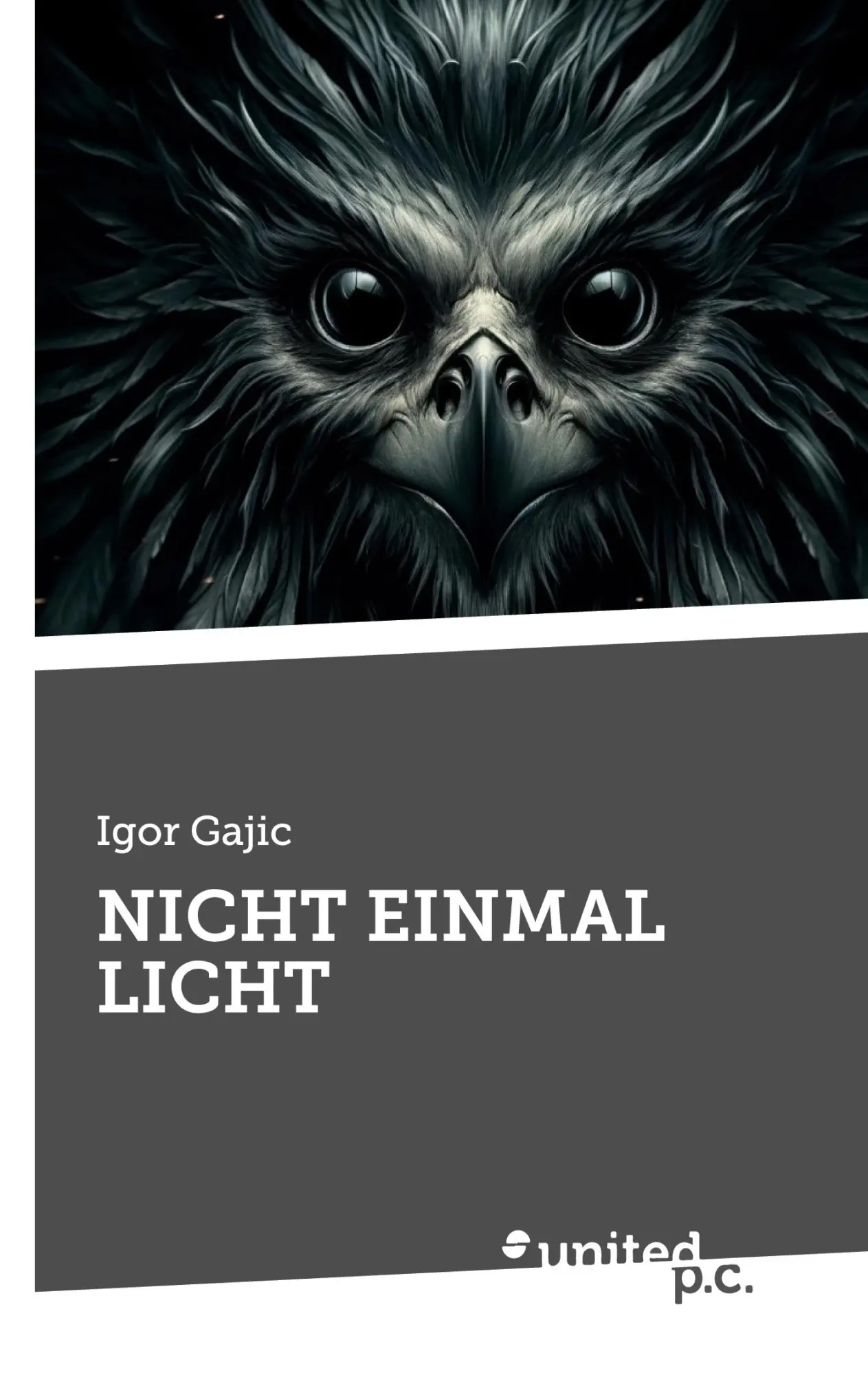 Cover: 9783710312960 | NICHT EINMAL LICHT | Igor Gajic | Taschenbuch | 280 S. | Deutsch