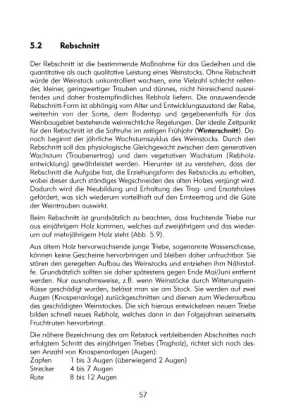 Bild: 9783980762960 | Hobbyweinbau | Harald Bocker | Taschenbuch | 174 S. | Deutsch | 2011