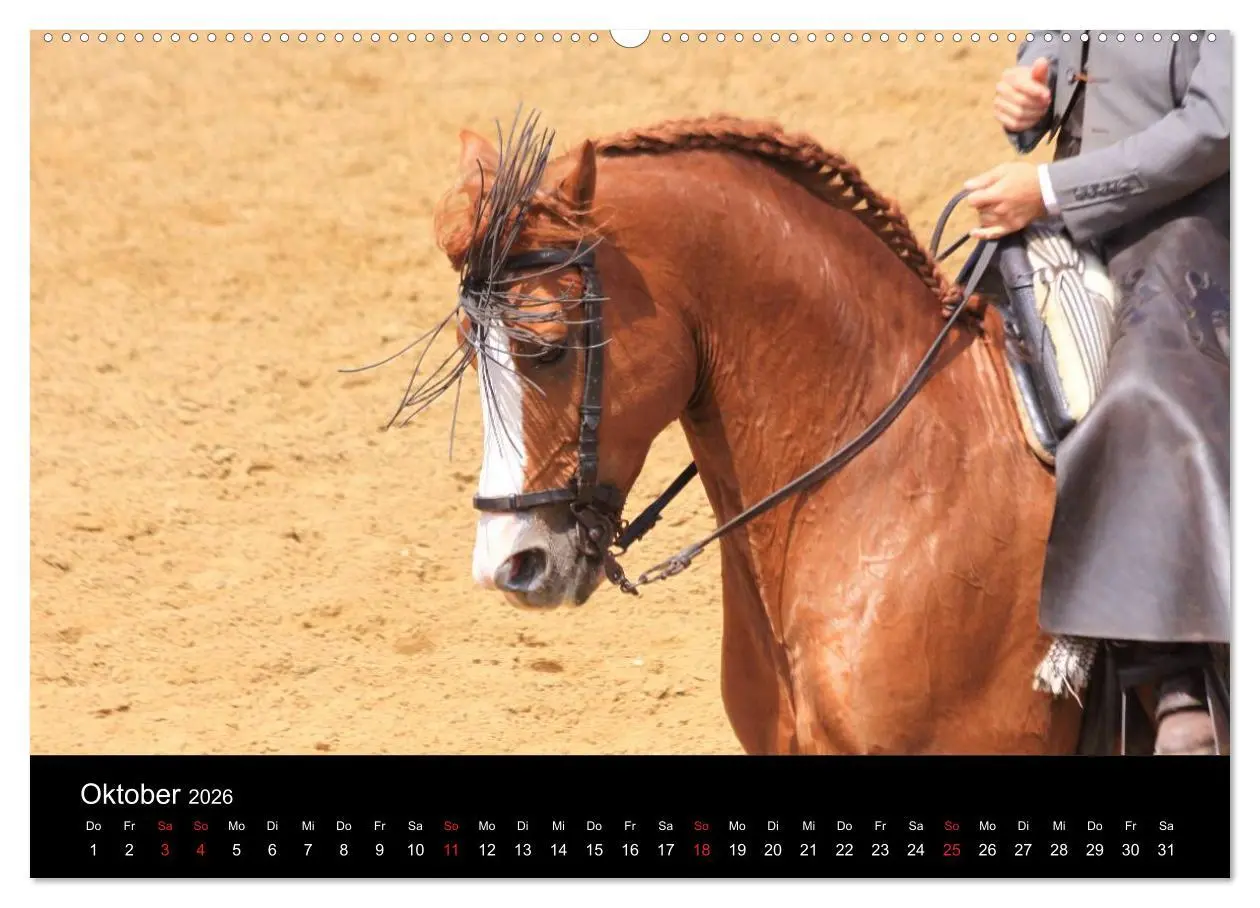 Bild: 9783516023060 | Caballos Spanische Pferde 2026 (hochwertiger Premium Wandkalender...
