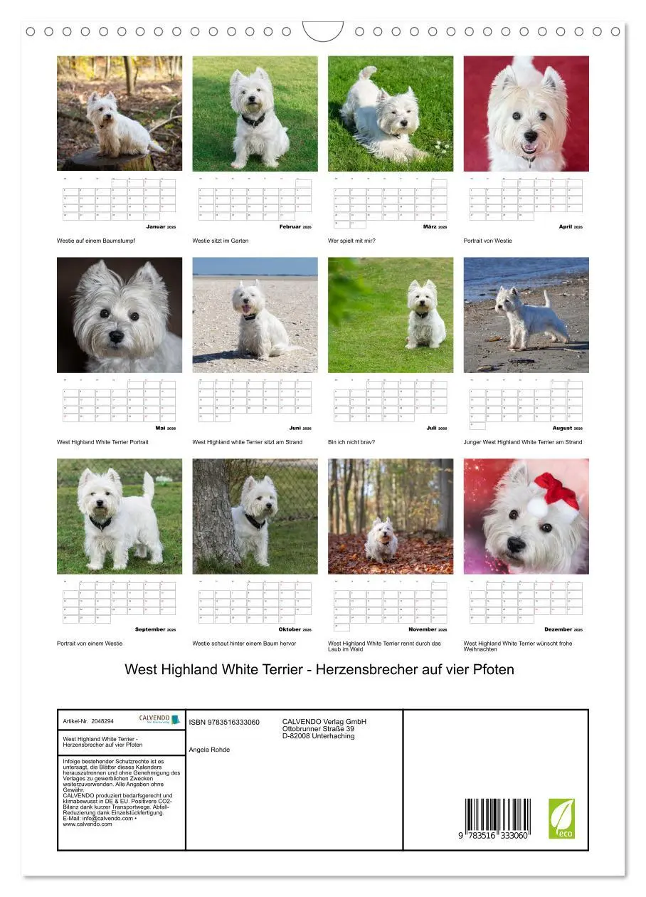Bild: 9783516333060 | West Highland White Terrier - Herzensbrecher auf vier Pfoten...