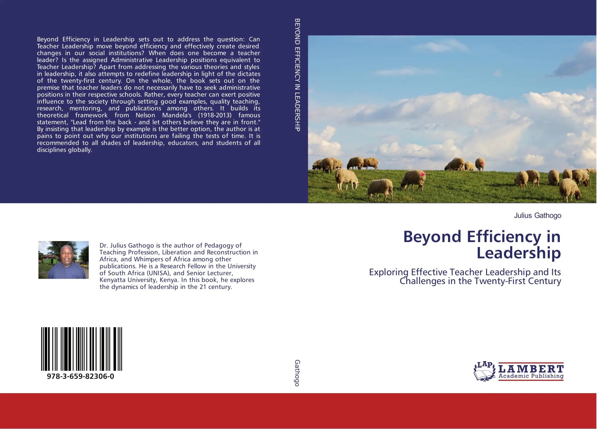 Beyond Efficiency in Leadership