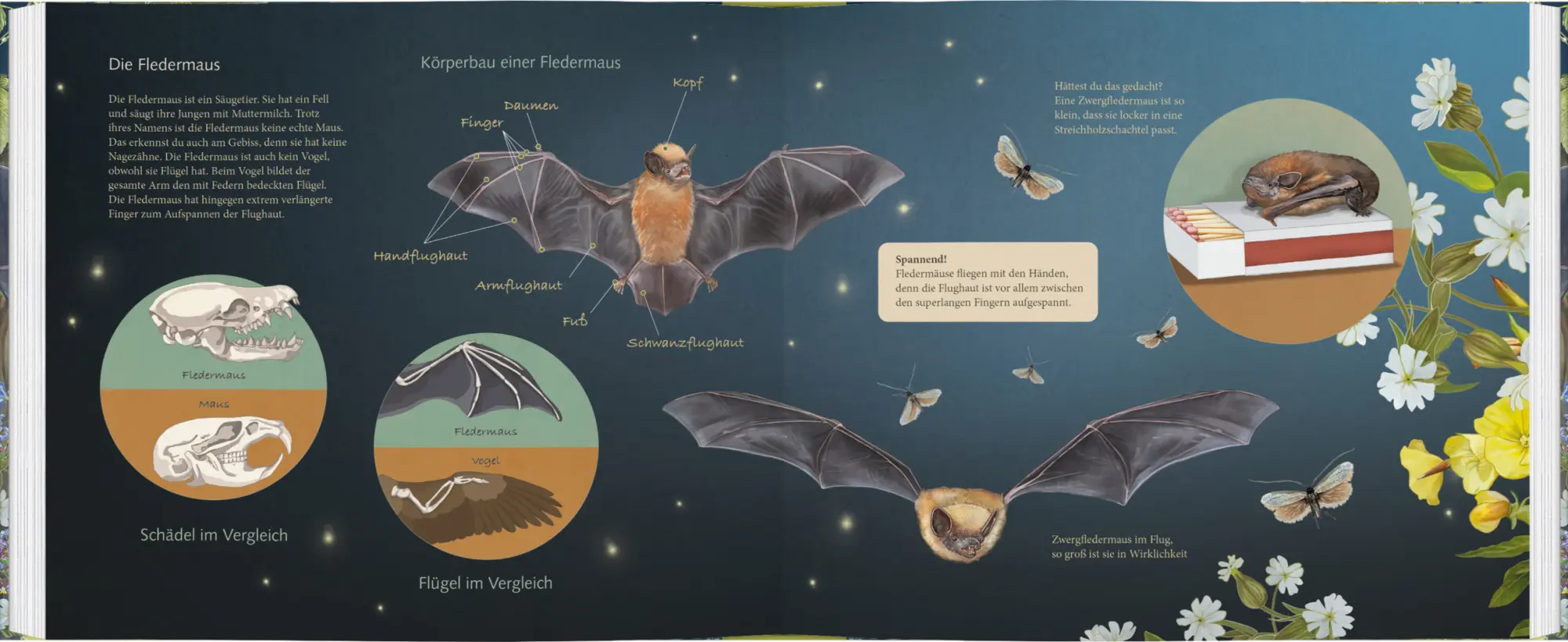 Bild: 9783836963060 | Ich bau dir ein Haus, kleine Fledermaus | Bärbel Oftring | Buch | 2025