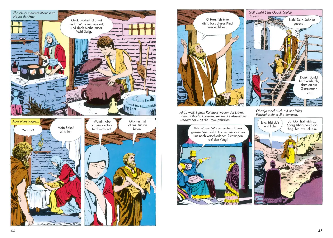 Bild: 9783438043160 | Die Bibel im Bild | Die gesamte Reihe | Iva Hoth | Broschüre | Deutsch