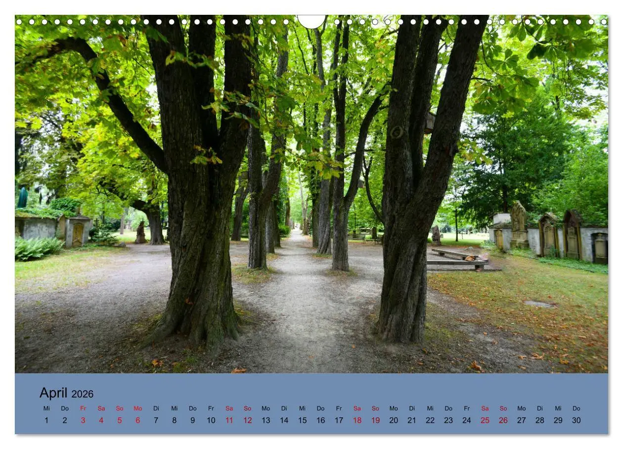 Bild: 9783457853160 | Wundervolles Freiburg (Wandkalender 2026 DIN A3 quer), CALVENDO...