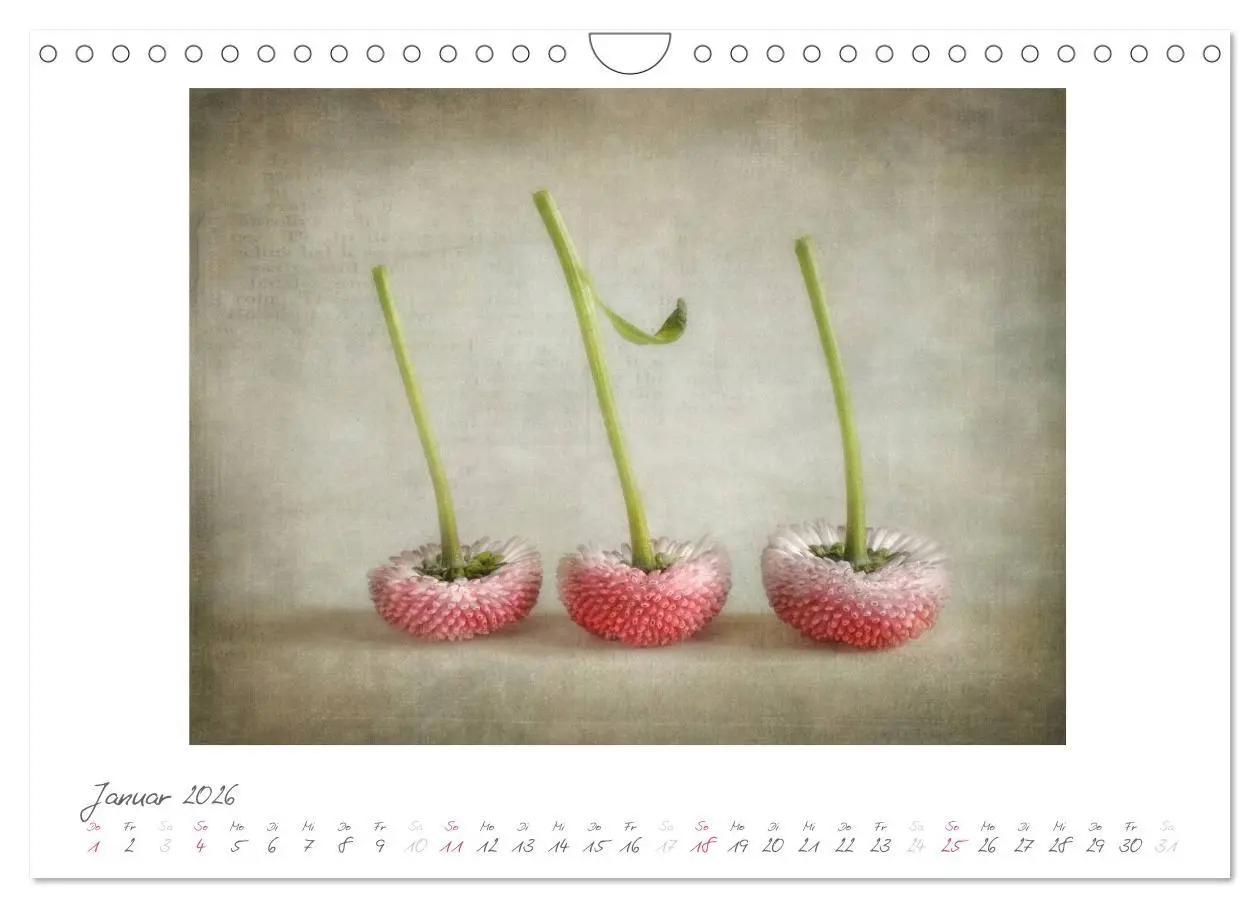 Bild: 9783516183160 | Vintage Flowers (Wandkalender 2026 DIN A4 quer), CALVENDO...