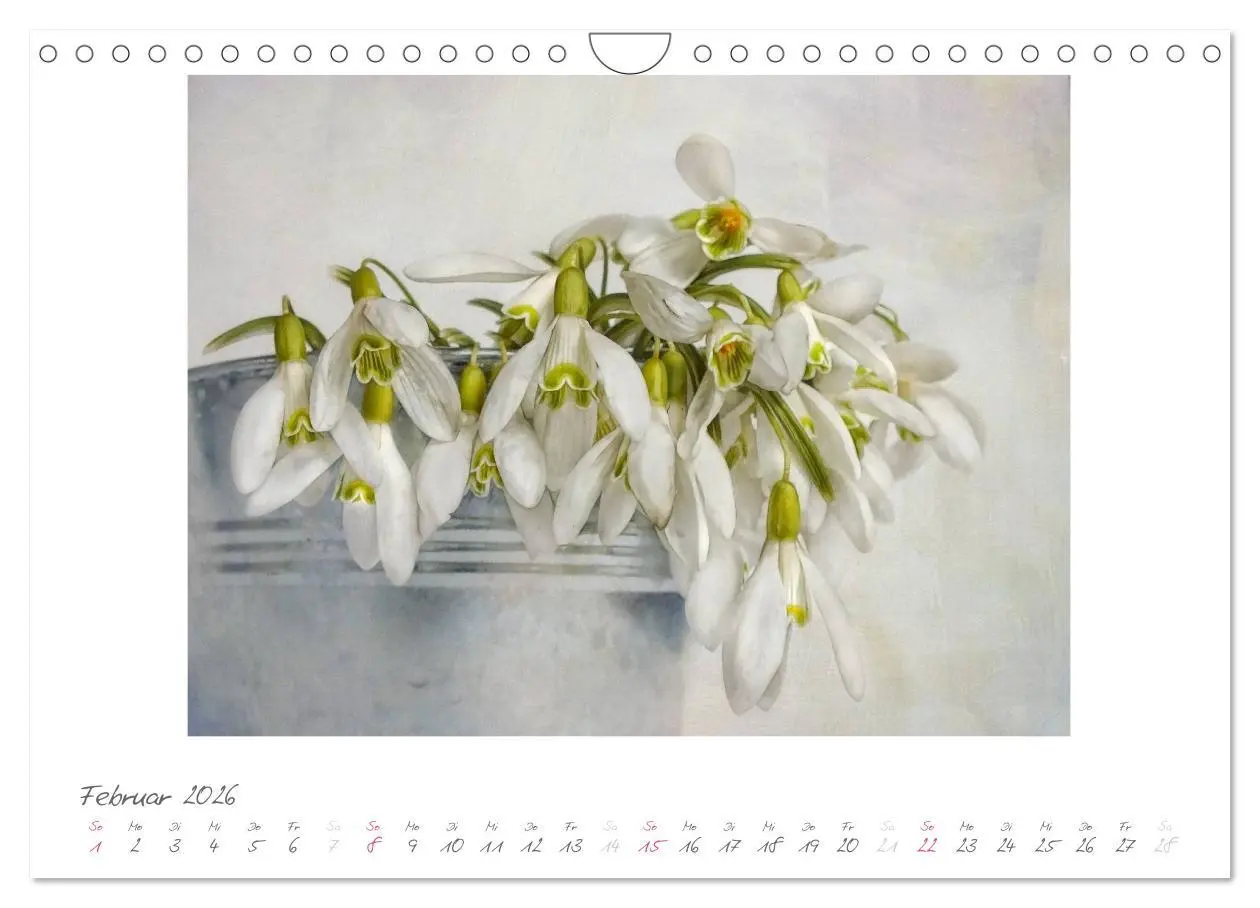 Bild: 9783516183160 | Vintage Flowers (Wandkalender 2026 DIN A4 quer), CALVENDO...